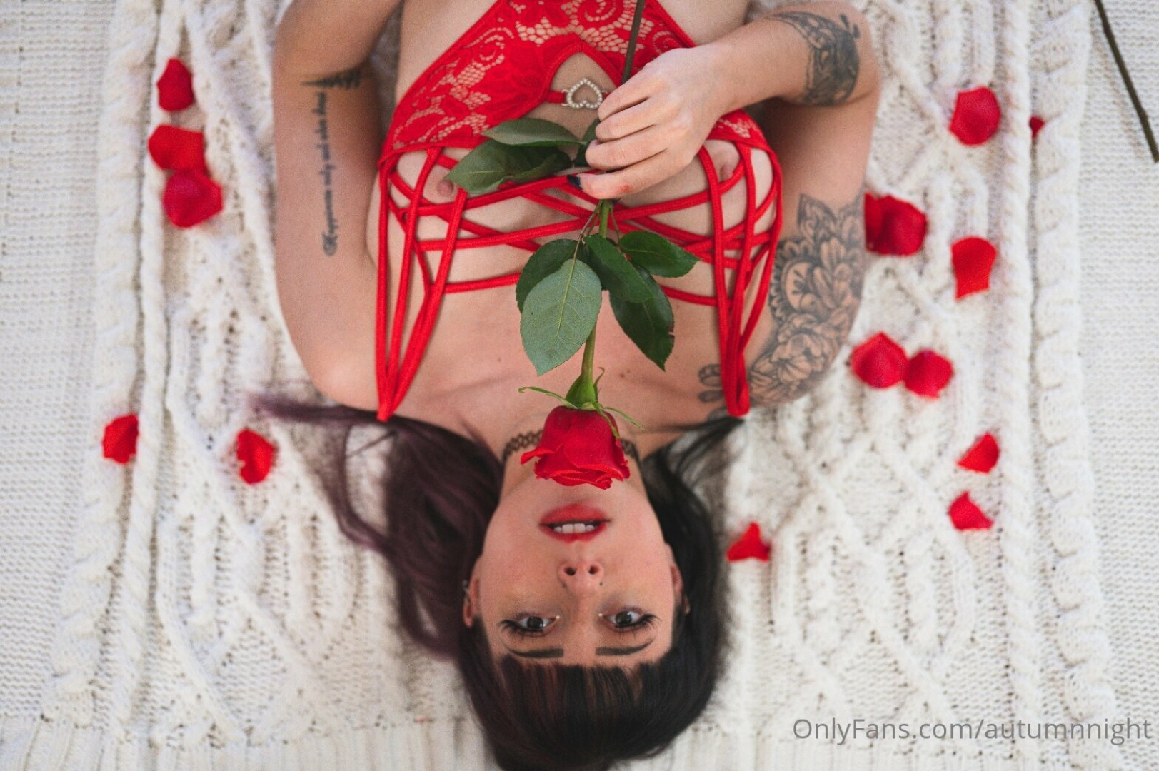 Photo by autumnnight published on November 24,2023 05:25:52 - BestThots