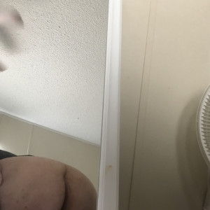 chubbytxbear #886975
