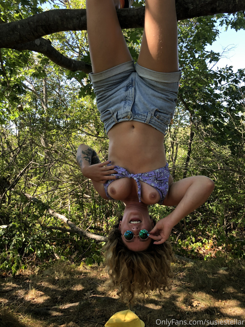 Photo by susiestellar published on October 12,2023 22:47:54 - BestThots