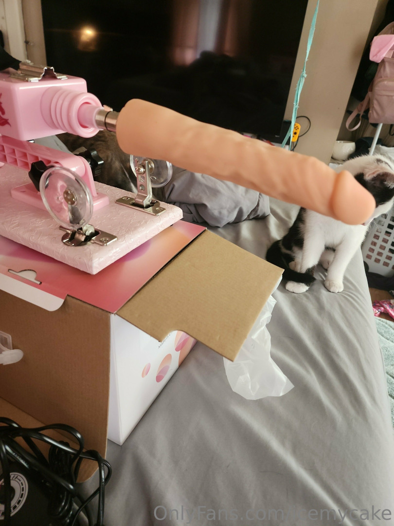 Photo by icemycake published on June 27,2023 17:39:25 - BestThots