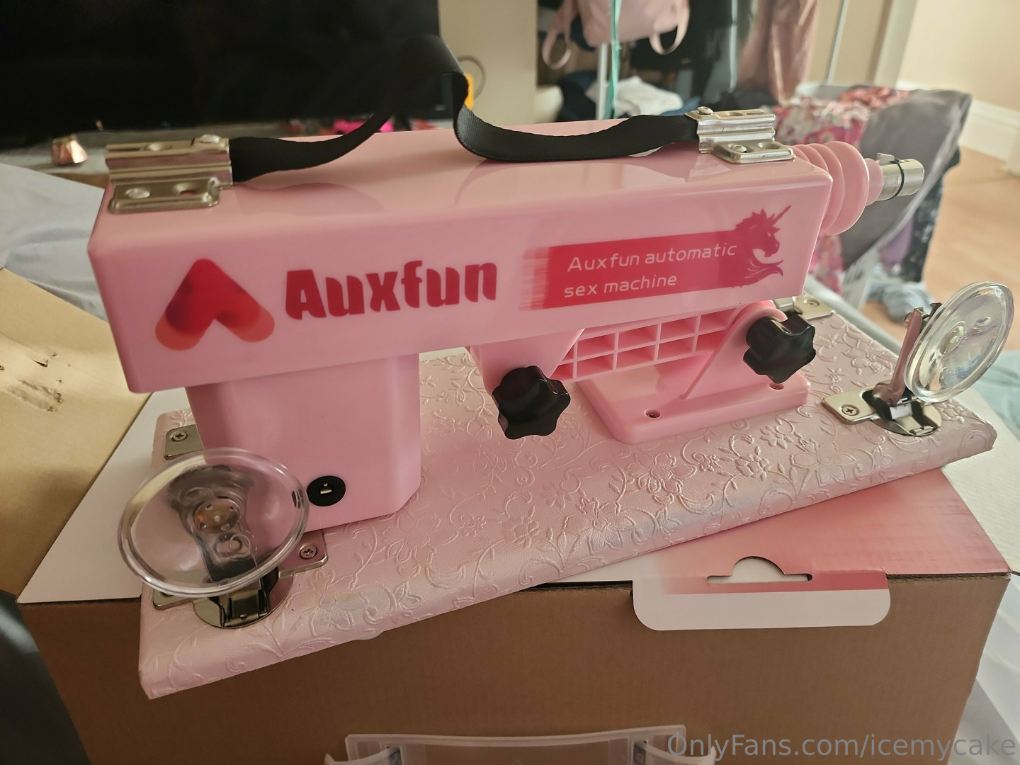 Photo by icemycake published on June 27,2023 17:39:30 - BestThots