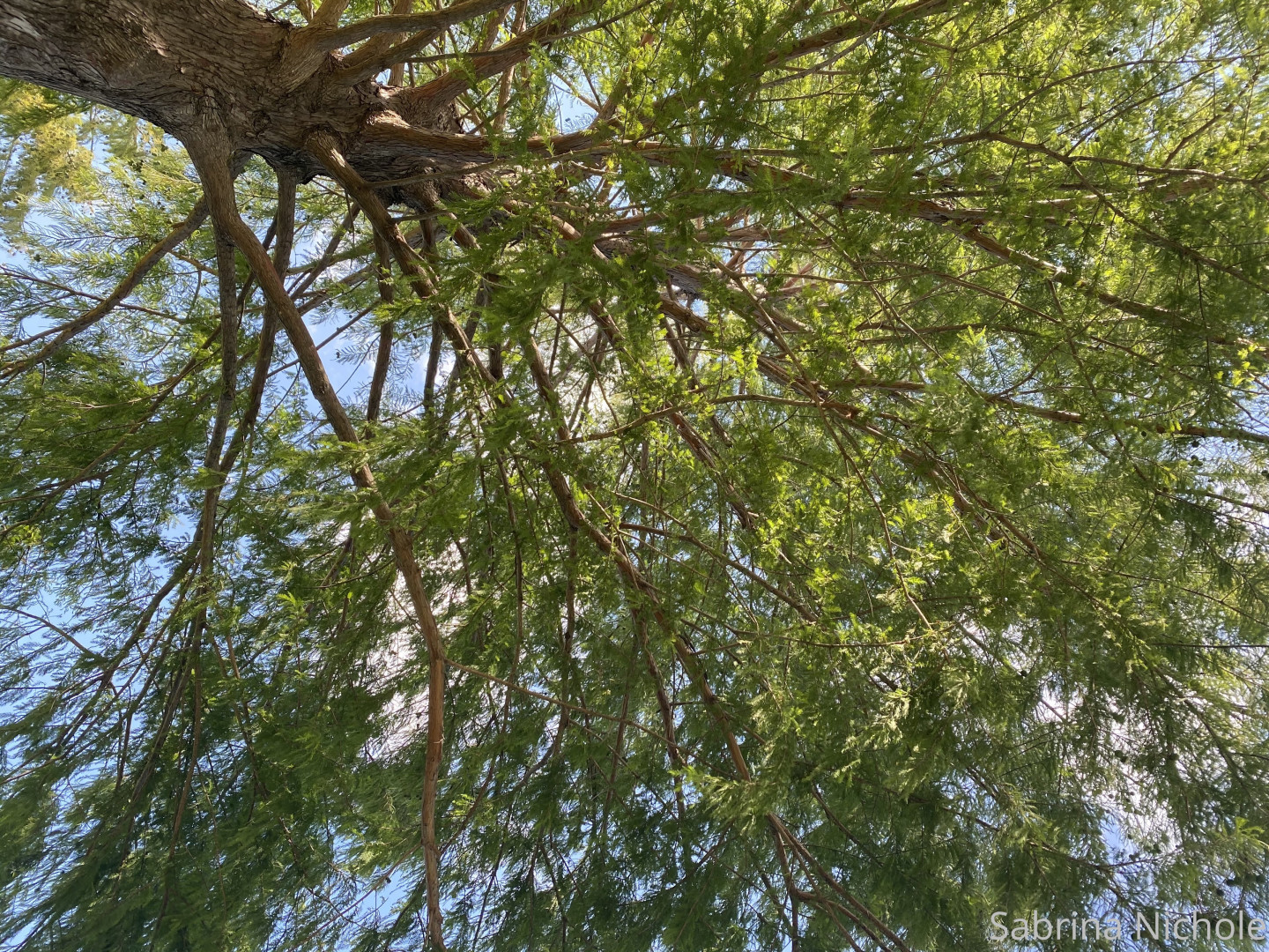 Photo by sabrinanichole published on August 16,2023 06:37:05 - BestThots