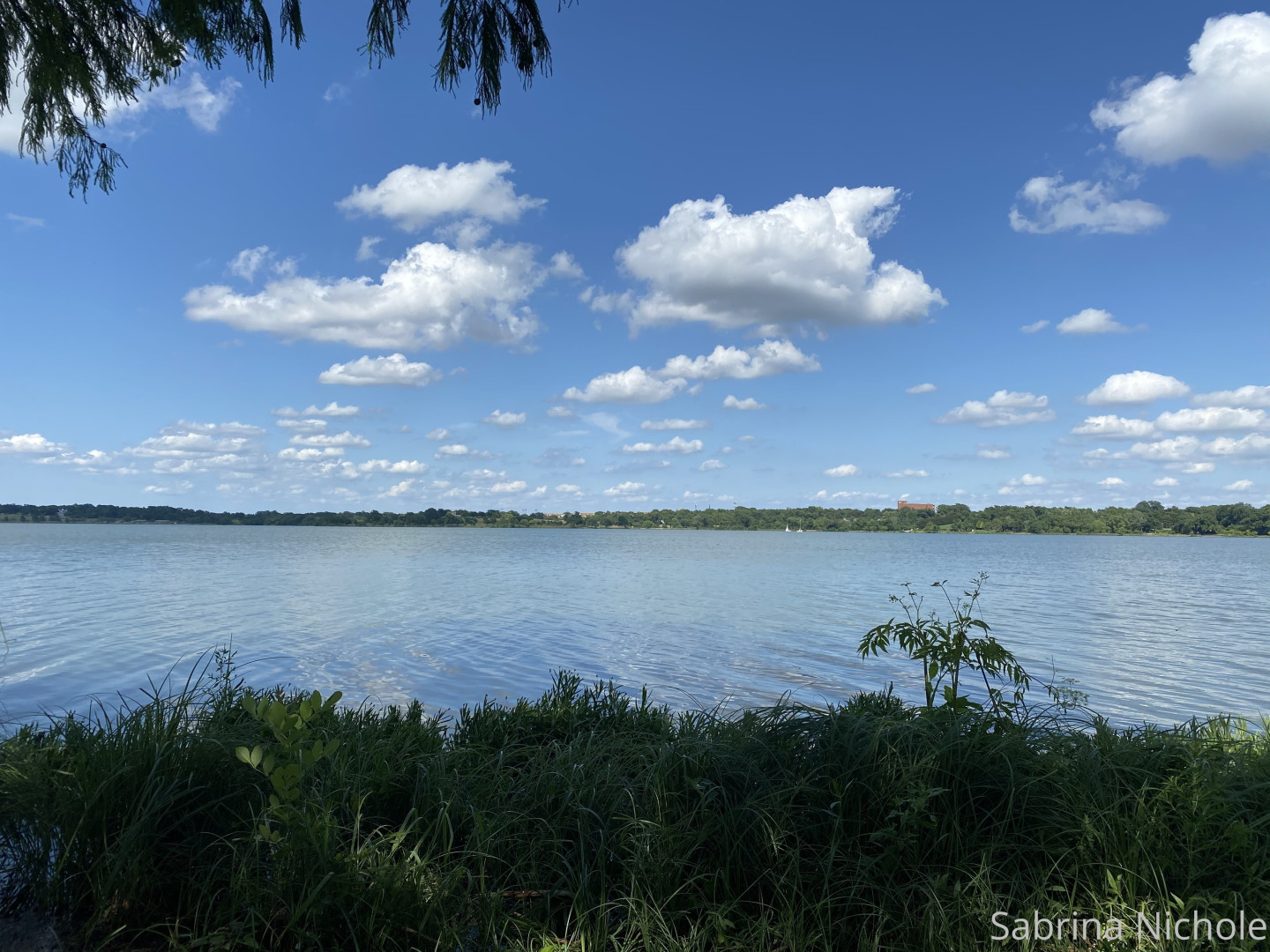 Photo by sabrinanichole published on August 16,2023 06:41:50 - BestThots