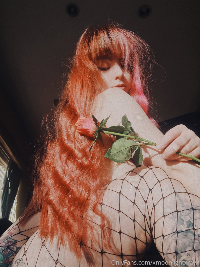 Photo by xmoonlightxrayx published on October 14,2023 04:06:16 - BestThots
