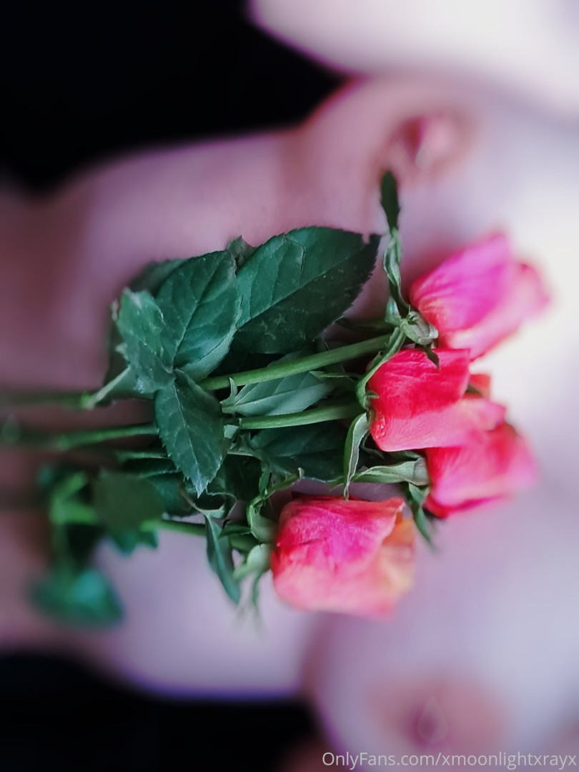 Photo by xmoonlightxrayx published on October 14,2023 09:20:45 - BestThots