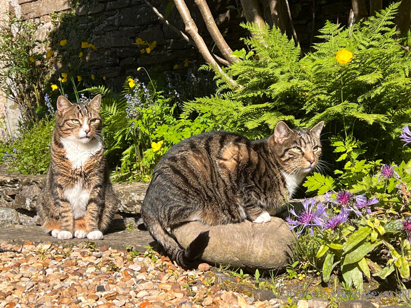 Photo by latexnchill published on June 27,2023 00:13:00 - BestThots