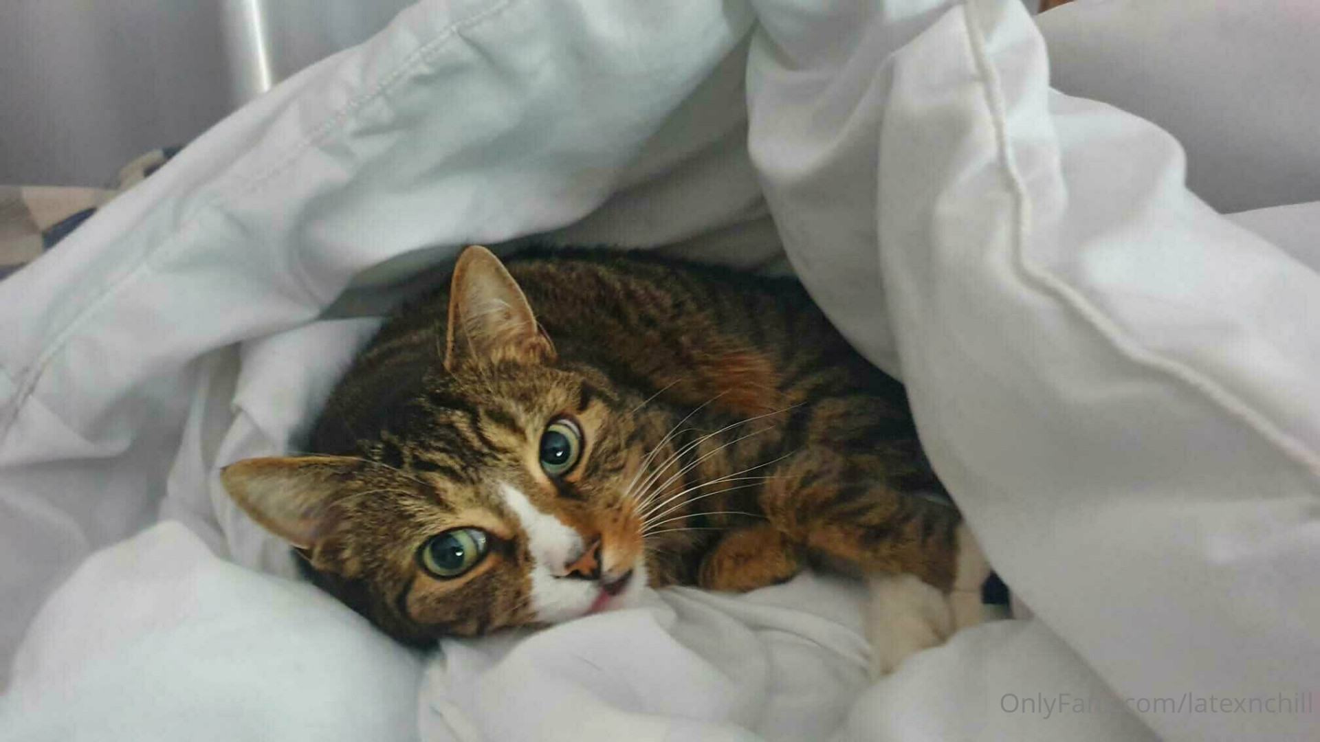 Photo by latexnchill published on June 27,2023 00:14:19 - BestThots