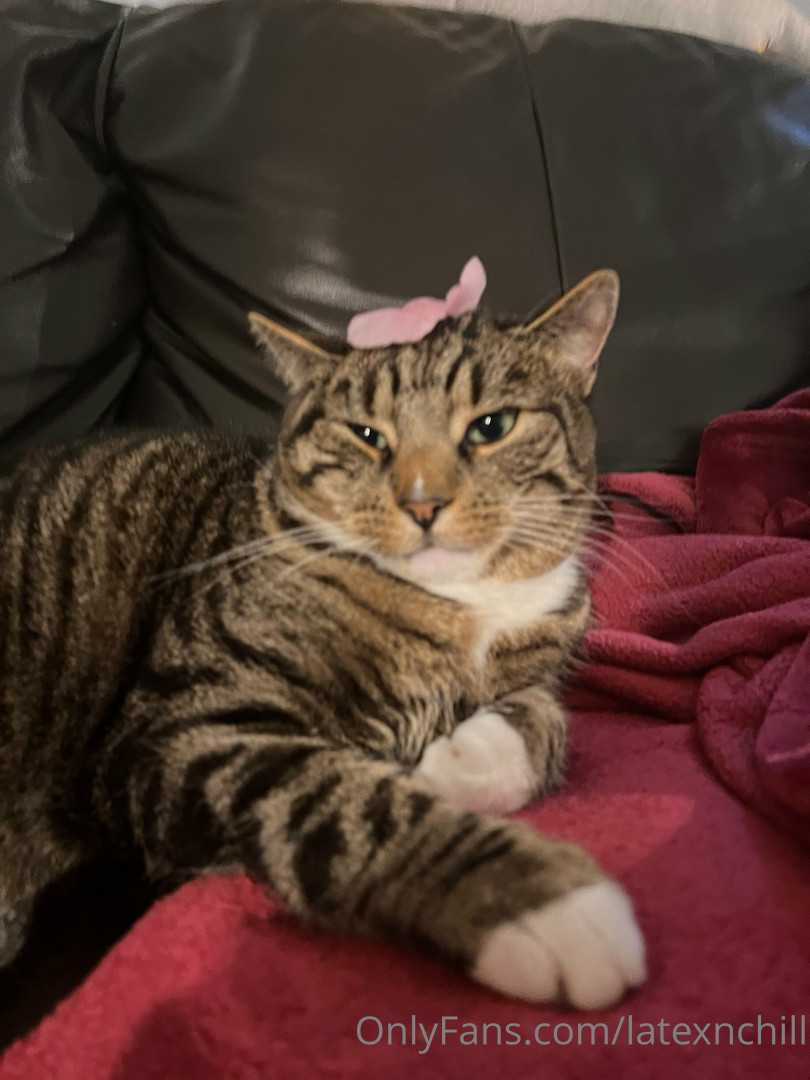 Photo by latexnchill published on June 27,2023 00:16:58 - BestThots