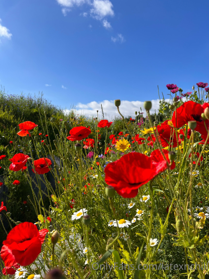 Photo by latexnchill published on June 27,2023 00:17:54 - BestThots