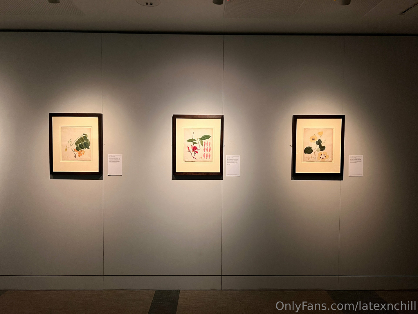 Photo by latexnchill published on June 27,2023 00:24:19 - BestThots