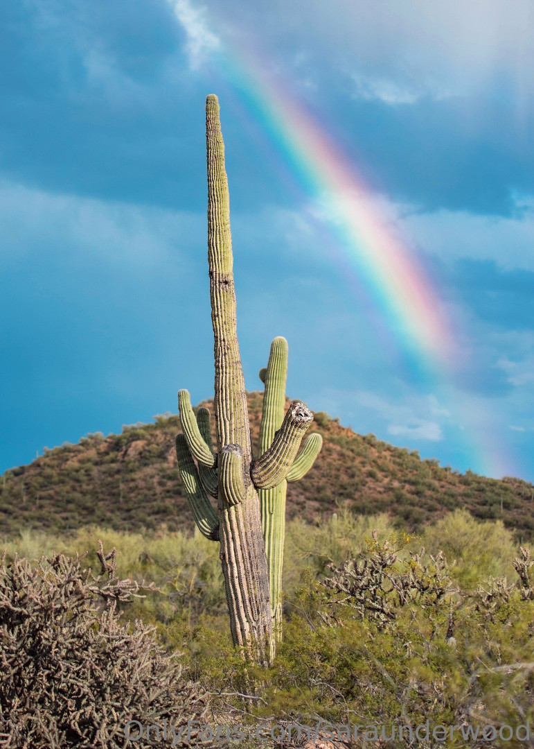 Photo by saraunderwood published on August 15,2023 13:44:19 - BestThots