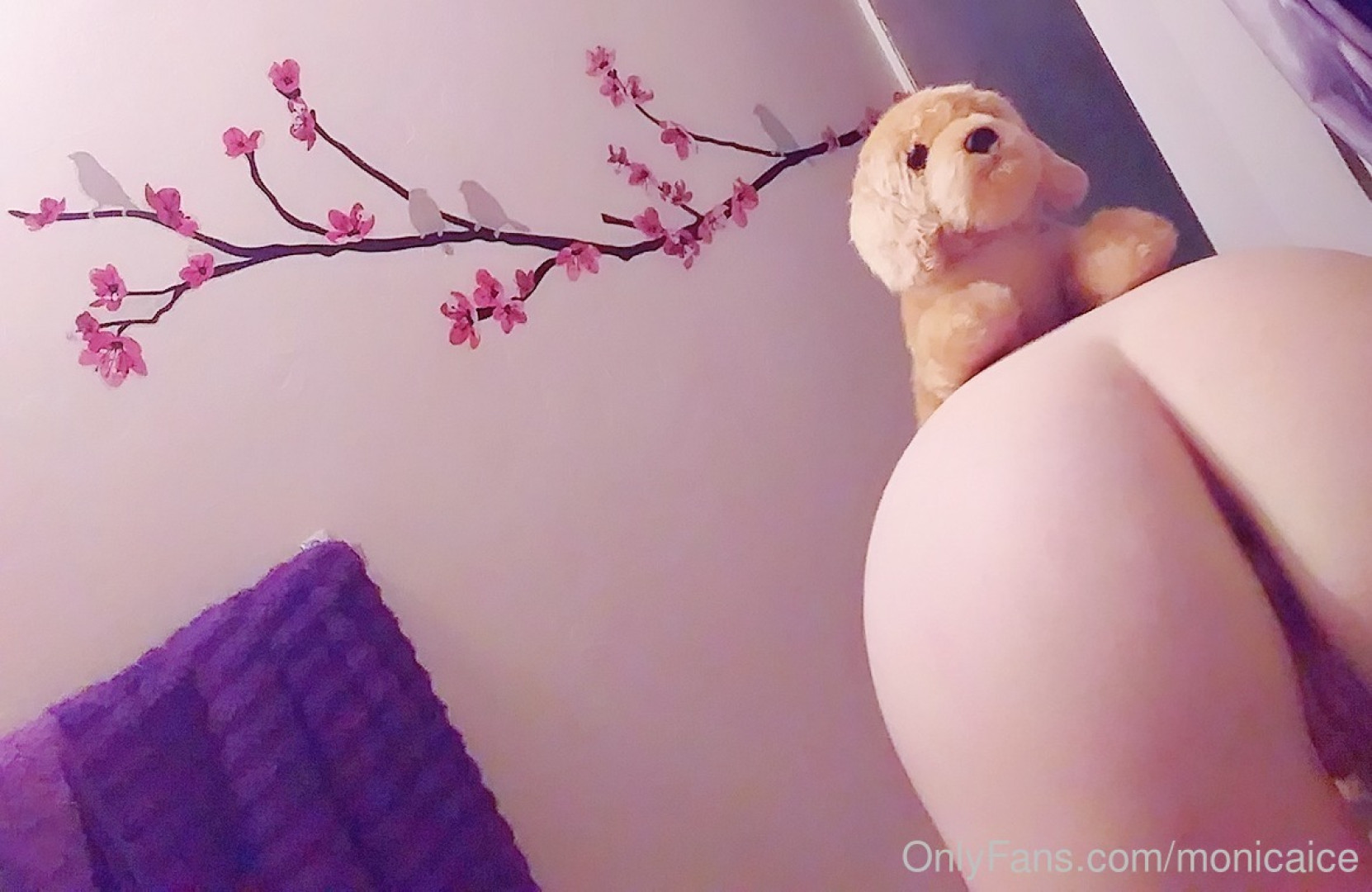 Photo by emeryeverest published on January 14,2024 05:26:36 - BestThots