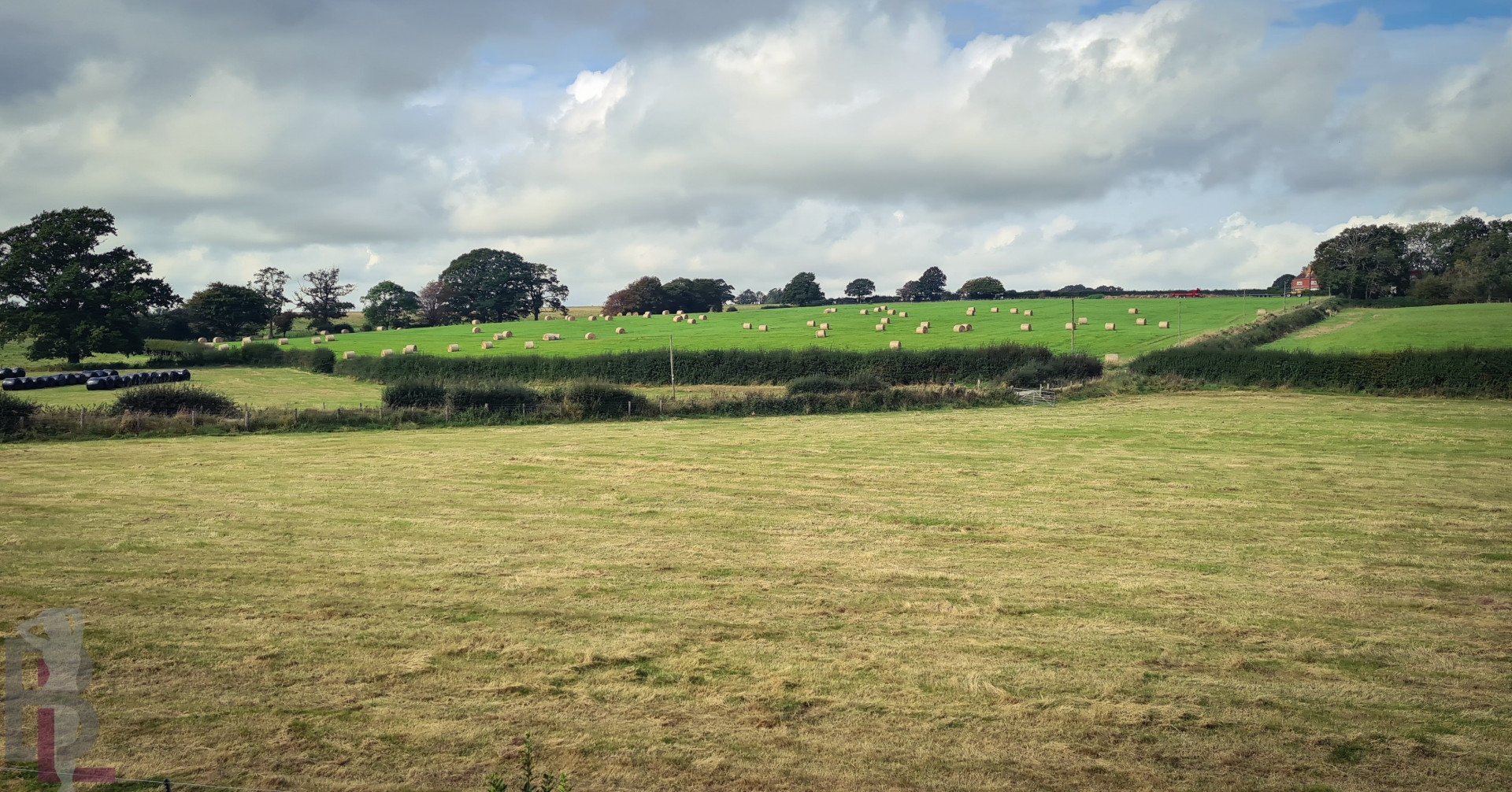 Photo by belle-lou published on December 10,2023 14:55:00 - BestThots