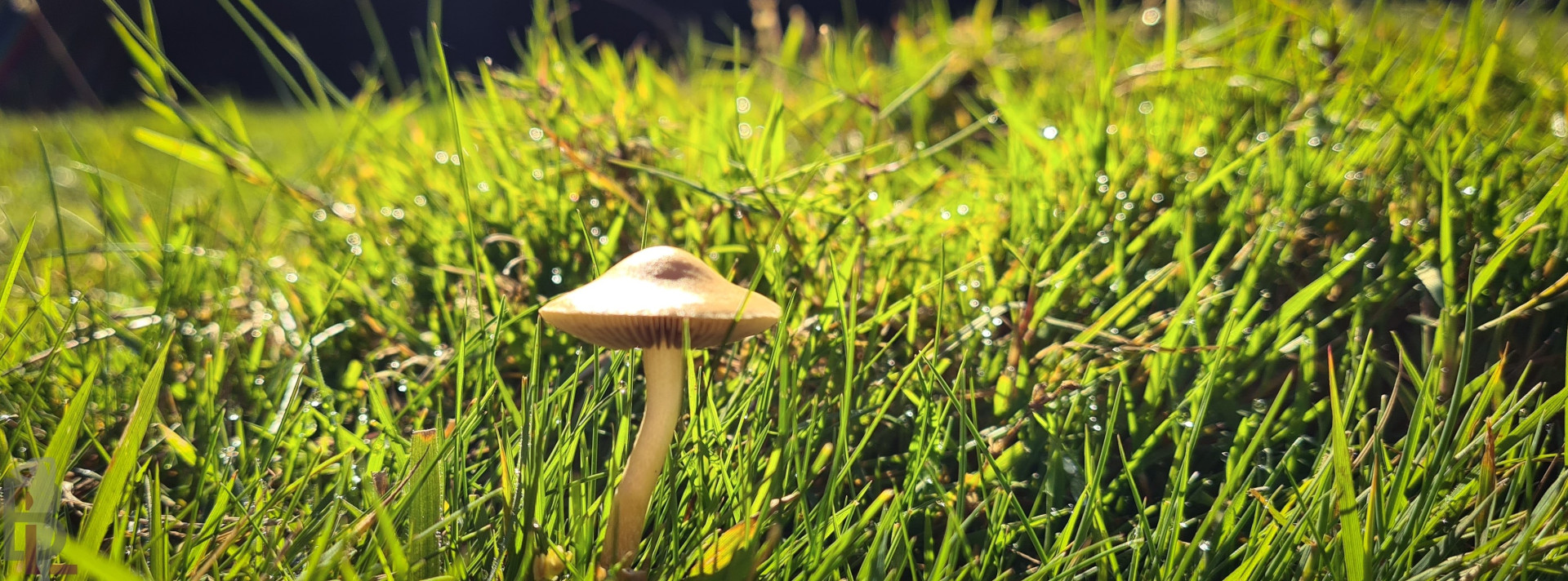 Photo by belle-lou published on December 10,2023 15:03:28 - BestThots