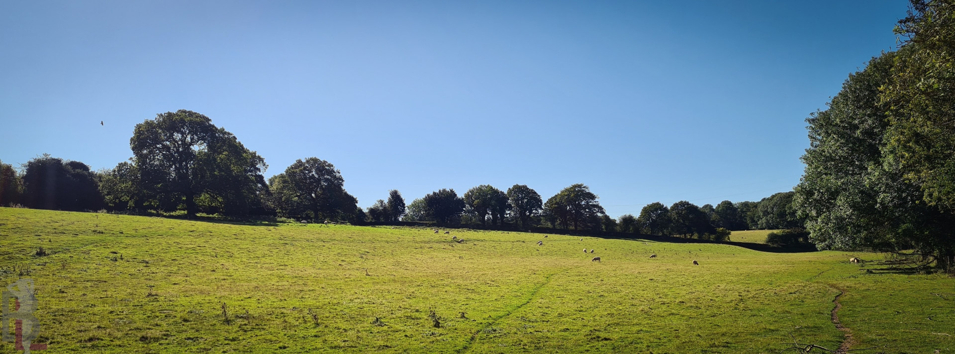 Photo by belle-lou published on December 10,2023 15:15:32 - BestThots