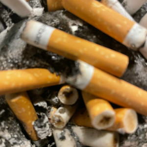 smokingqueenalina #188214