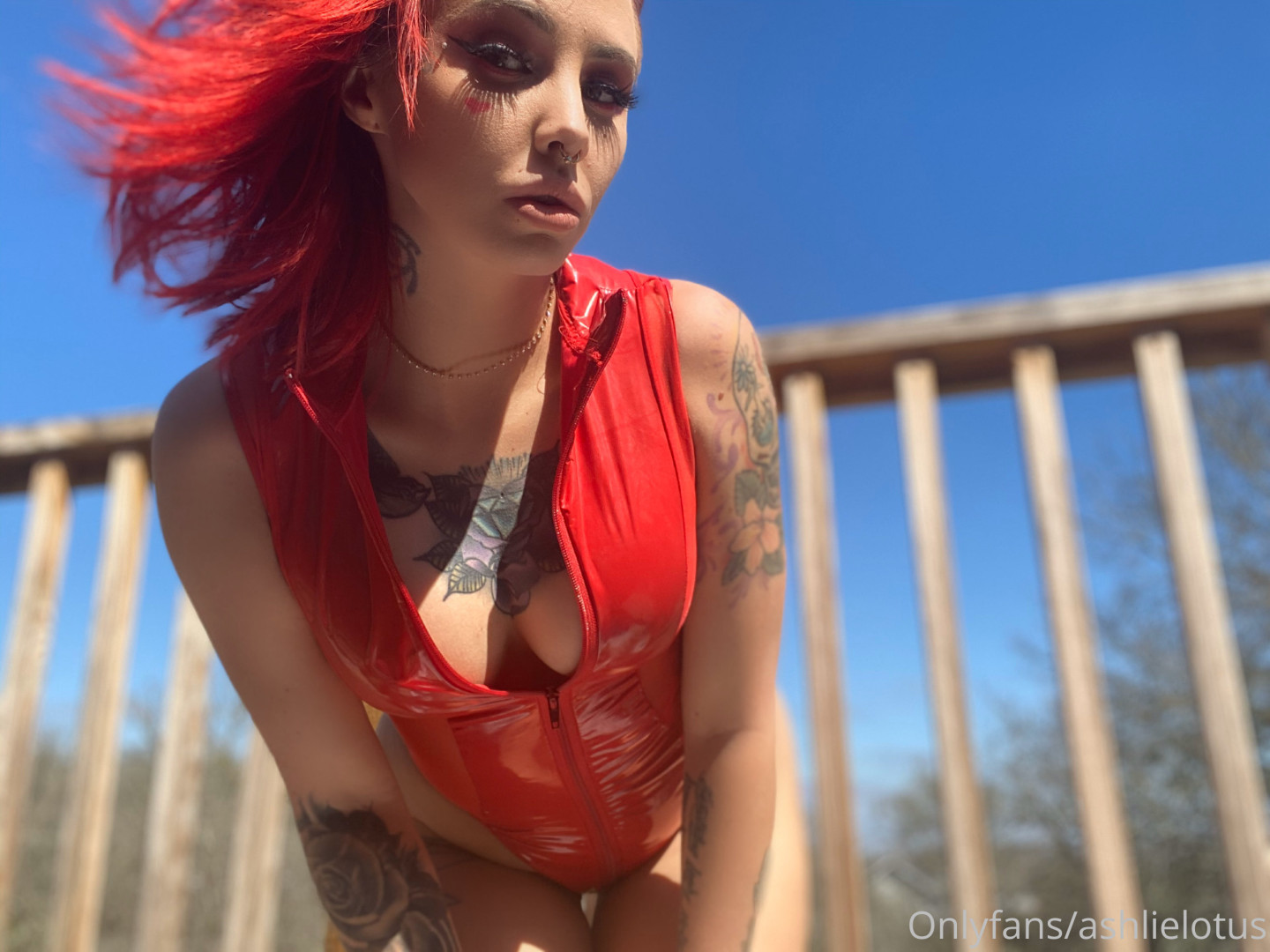 Photo by ashlielotus published on November 23,2023 22:24:06 - BestThots