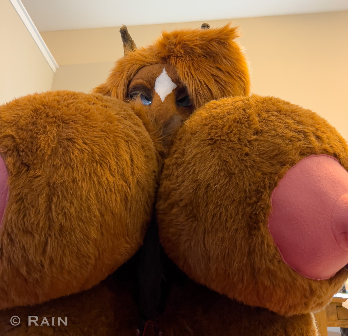 Photo by rain_horsie published on June 1,2023 14:14:51 - BestThots