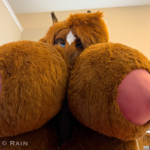 rain_horsie #1060364