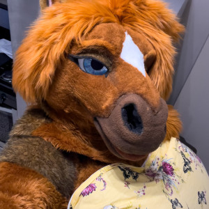rain_horsie #1060366