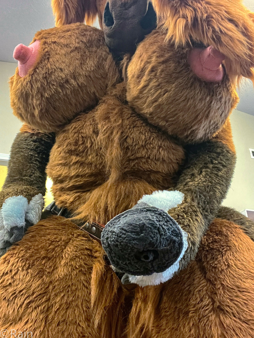 Photo by rain_horsie published on June 1,2023 14:14:56 - BestThots