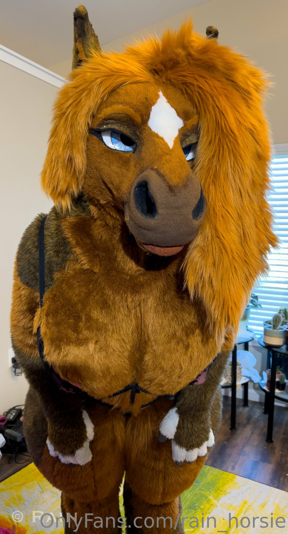 Photo by rain_horsie published on October 12,2023 04:40:32 - BestThots