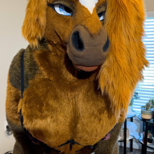 rain_horsie #6334337