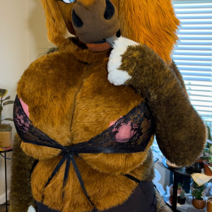 rain_horsie #6336030