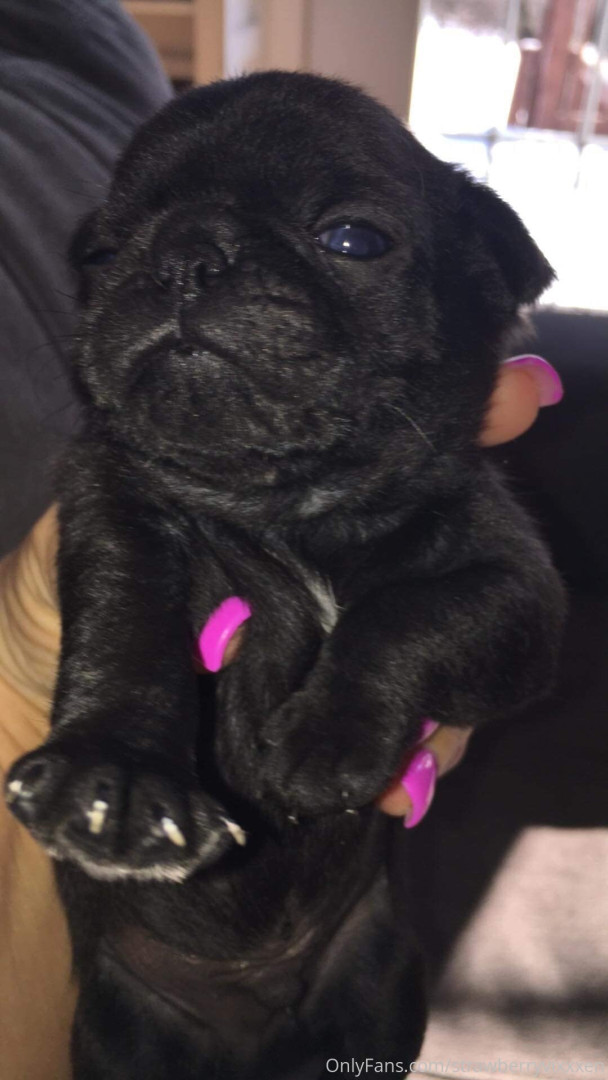 Photo by strawberryvixxxen published on October 16,2023 00:20:02 - BestThots