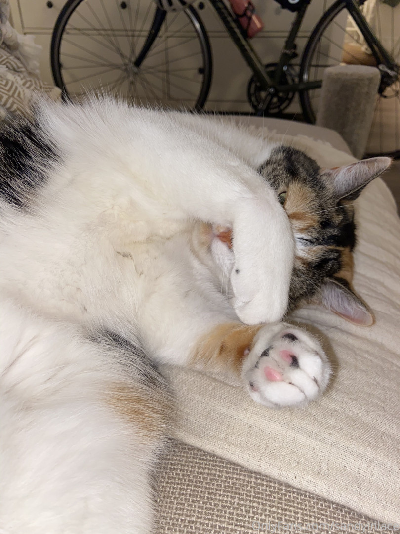 Photo by sandyinlace published on August 16,2023 03:18:23 - BestThots