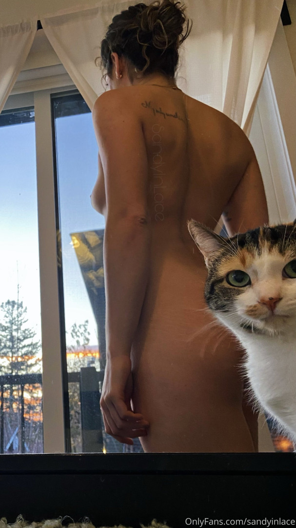 Photo by sandyinlace published on August 16,2023 03:33:51 - BestThots