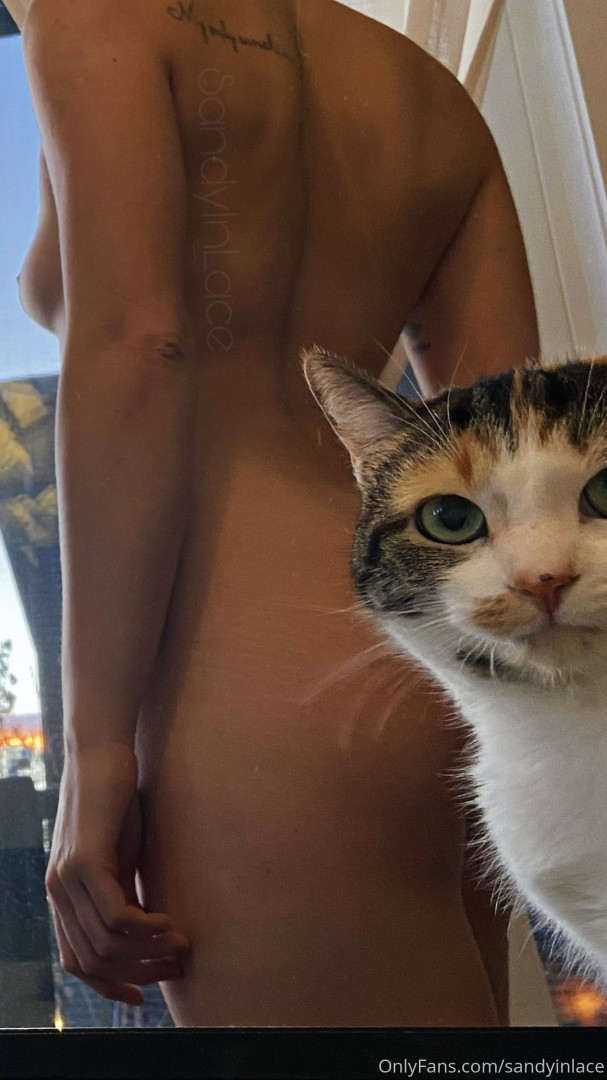 Photo by sandyinlace published on August 16,2023 03:41:22 - BestThots