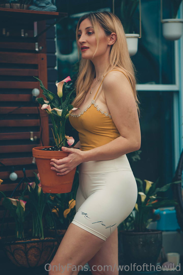 Photo by wolfofthewild published on August 6,2023 14:43:06 - BestThots