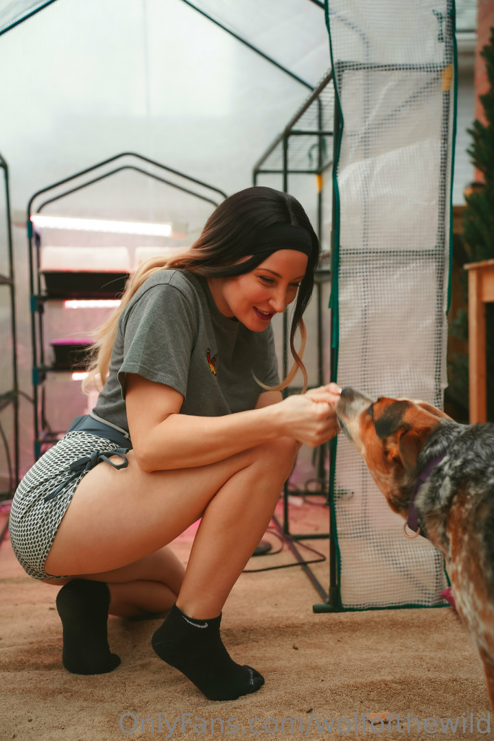 Photo by wolfofthewild published on August 6,2023 14:43:56 - BestThots