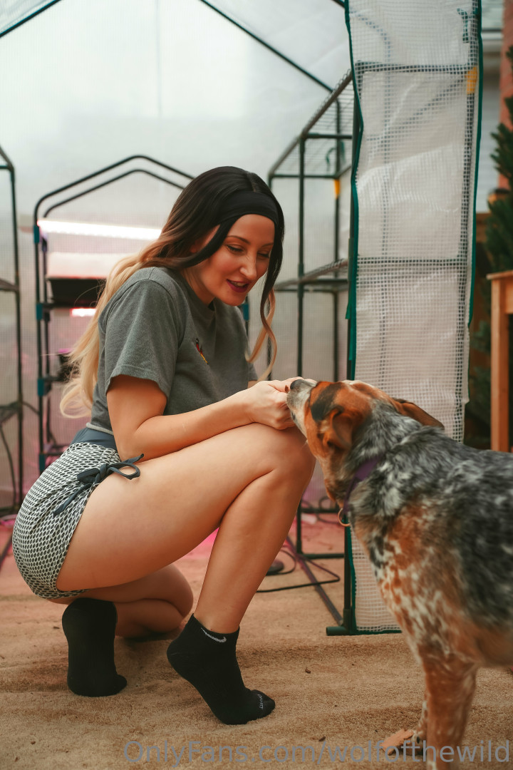 Photo by wolfofthewild published on August 6,2023 14:44:00 - BestThots