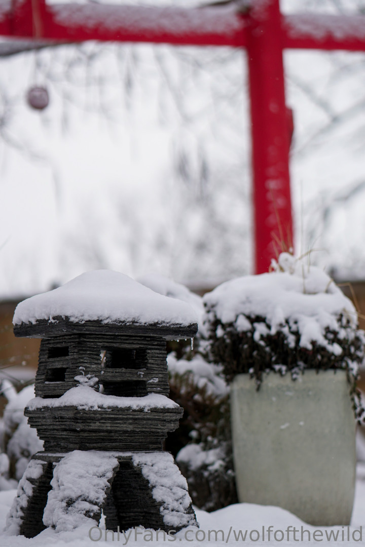 Photo by wolfofthewild published on August 6,2023 14:44:16 - BestThots