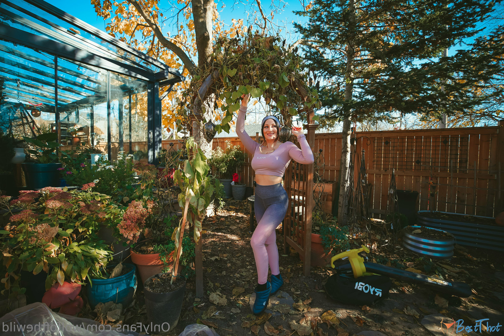 Photo by wolfofthewild published on December 12,2024 09:37:18 - BestThots