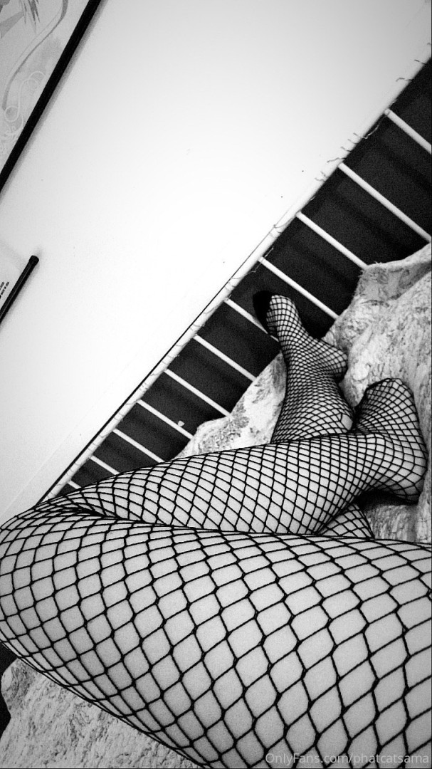 Photo by phatcatsama published on July 25,2023 07:11:16 - BestThots