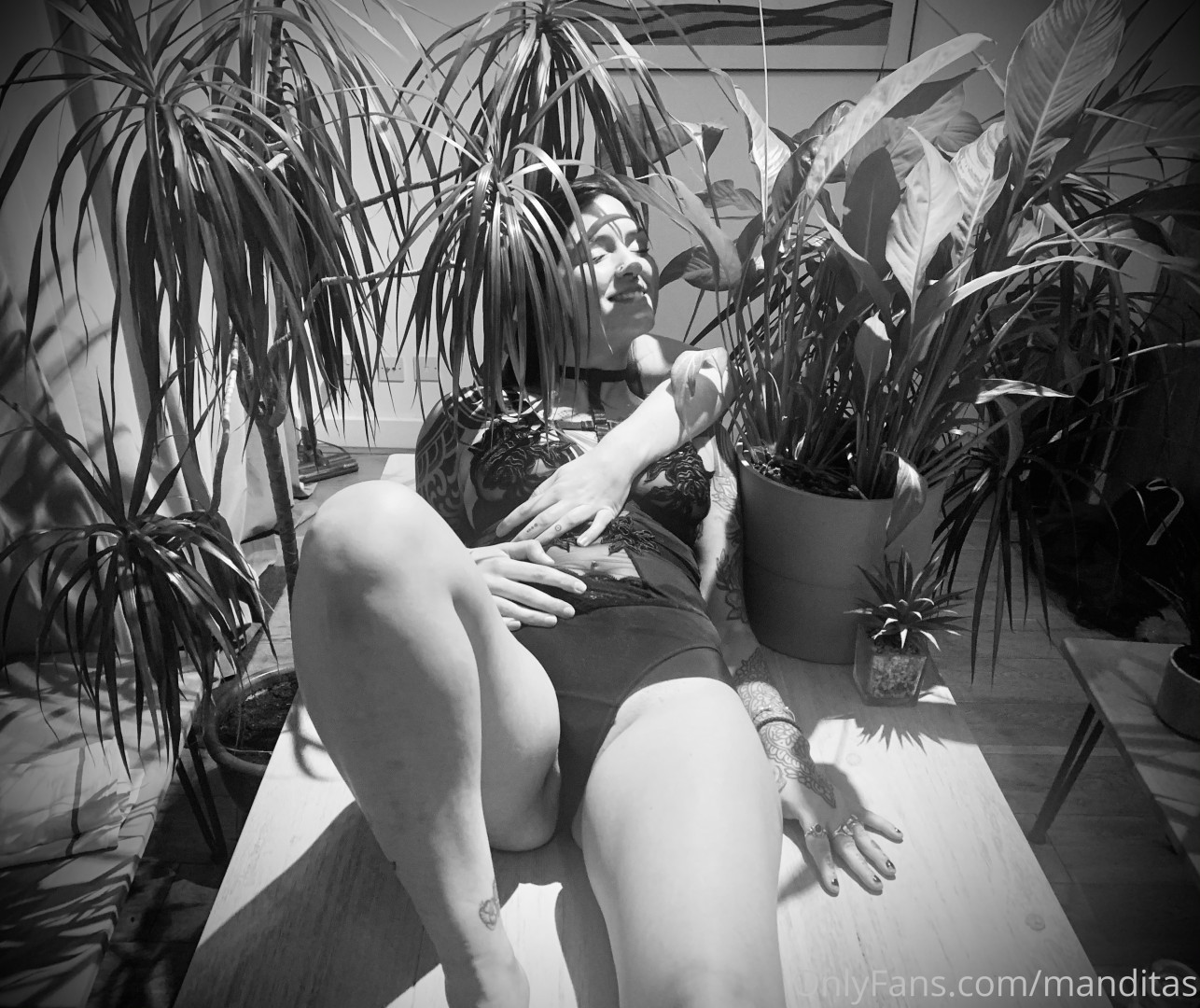 Photo by manditas published on June 16,2023 04:33:57 - BestThots