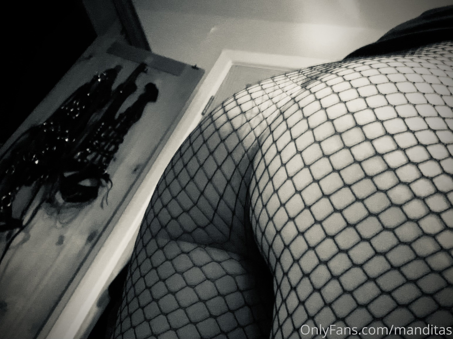 Photo by manditas published on June 16,2023 04:35:21 - BestThots