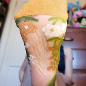 lilypod #6557341