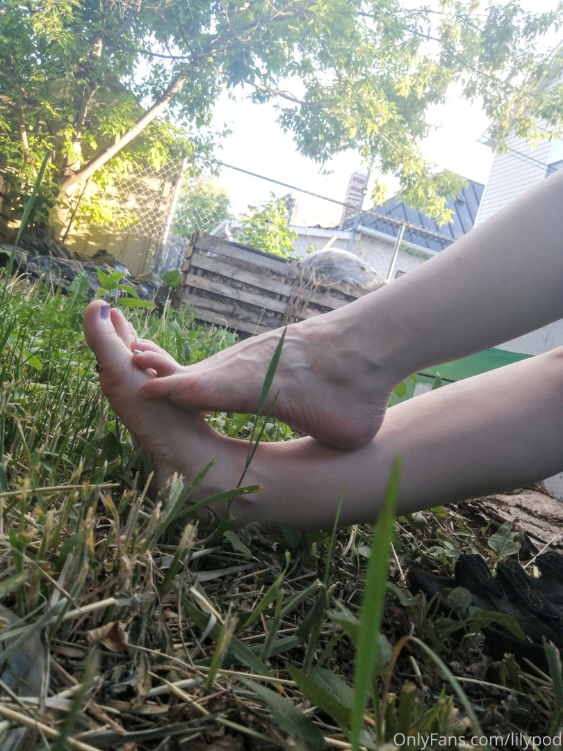 Photo by lilypod published on October 14,2023 15:54:16 - BestThots