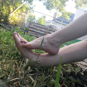 lilypod #6559893