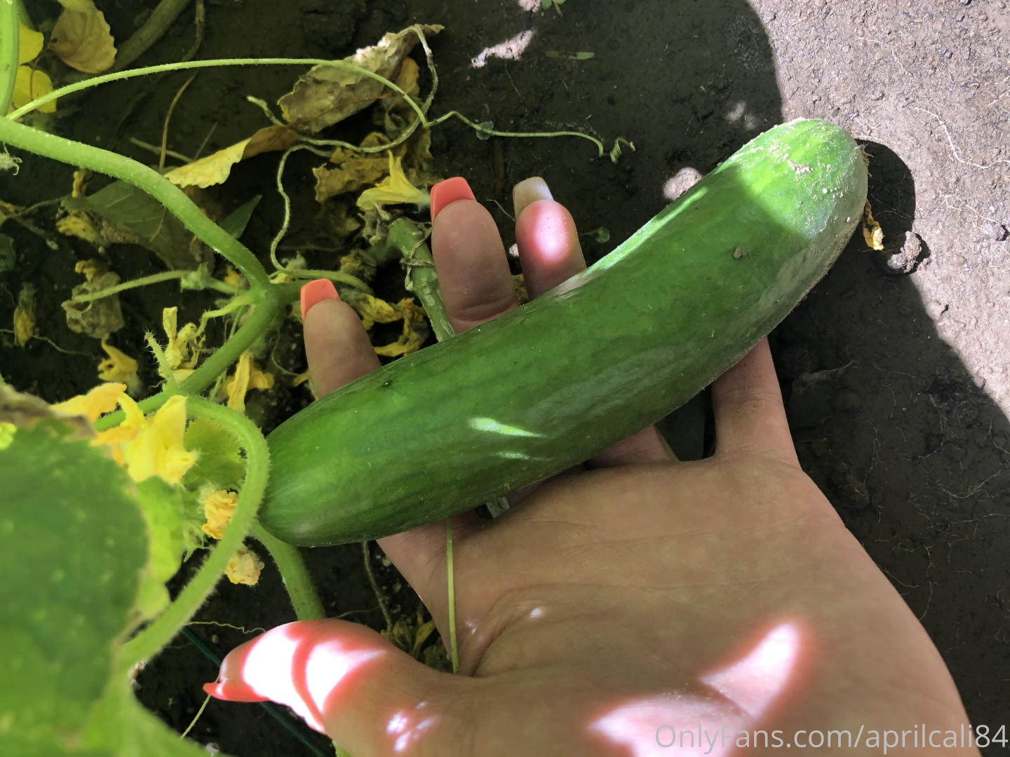 Photo by aprilcali84 published on October 15,2023 23:57:10 - BestThots