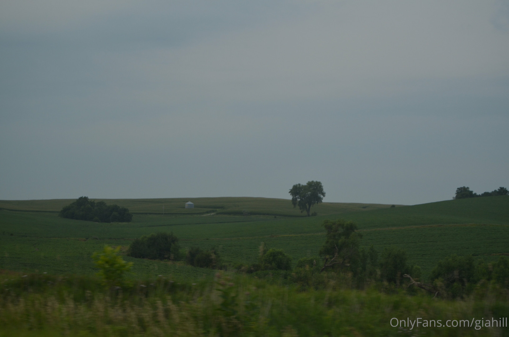 Photo by giahill published on June 27,2023 23:45:09 - BestThots