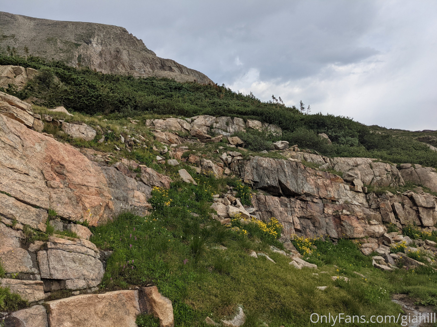 Photo by giahill published on June 27,2023 23:46:14 - BestThots