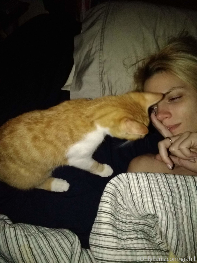 Photo by giahill published on June 27,2023 23:47:27 - BestThots