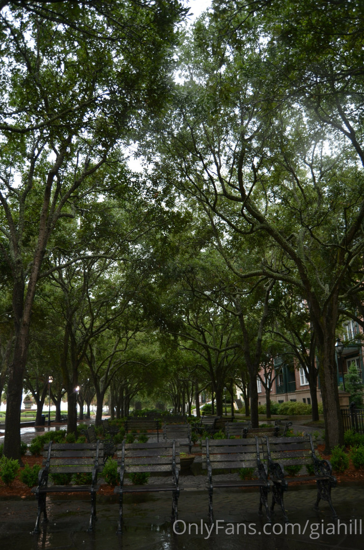 Photo by giahill published on June 27,2023 23:54:58 - BestThots