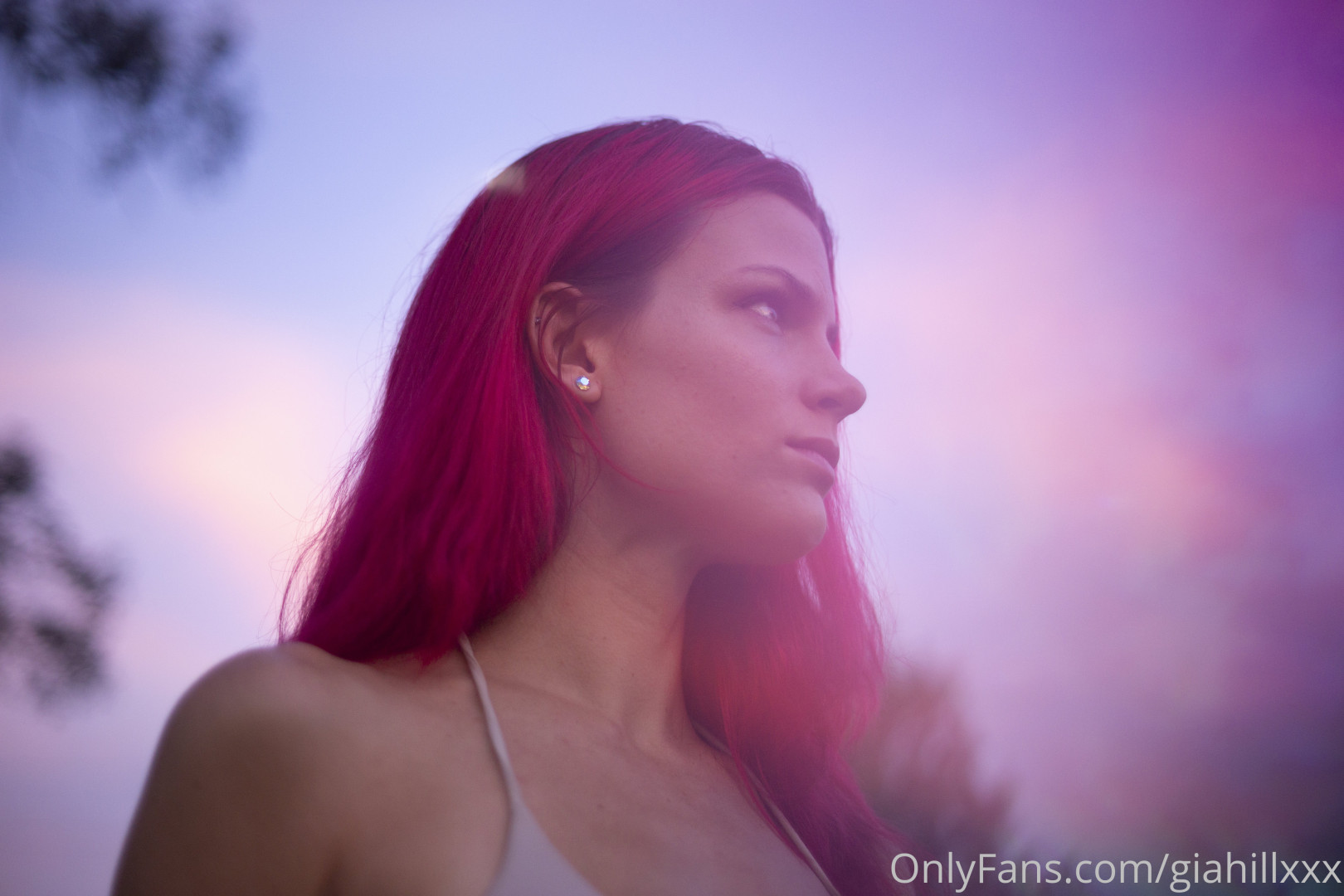 Photo by giahill published on June 27,2023 23:56:27 - BestThots