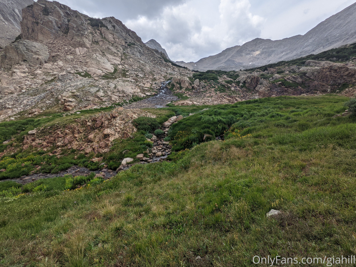 Photo by giahill published on June 27,2023 23:57:49 - BestThots